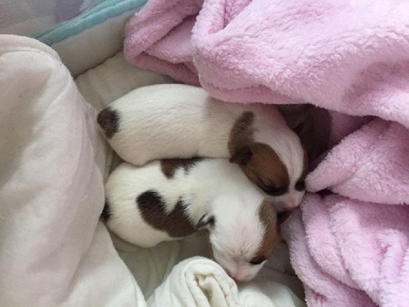 Naissance 22/09/15